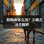 狗狗癣怎么治？正确方法全解析（图4）