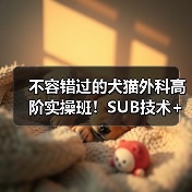 不容错过的犬猫外科高阶实操班！SUB技术+乳糜胸手术全掌握