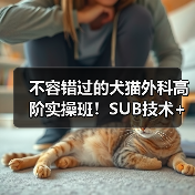 不容错过的犬猫外科高阶实操班！SUB技术+乳糜胸手术全掌握（图4）