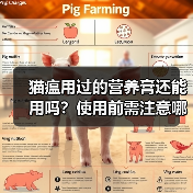猫瘟用过的营养膏还能用吗？使用前需注意哪些关键点？（图2）