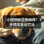 小猫结痂是猫癣吗？3步精准鉴别方法
