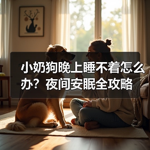 小奶狗晚上睡不着怎么办？夜间安眠全攻略（图2）