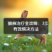 猫癣治疗全攻略：3步有效解决方法（图3）