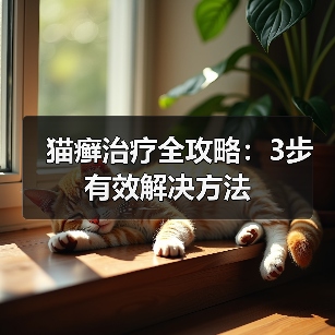 猫癣治疗全攻略：3步有效解决方法（图2）