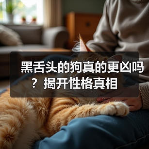 黑舌头的狗真的更凶吗？揭开性格真相（图3）