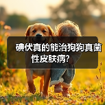 碘伏真的能治狗狗真菌性皮肤病？（图4）