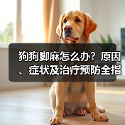 狗狗脚麻怎么办？原因、症状及治疗预防全指南（图2）