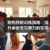 狗狗技能训练指南：提升亲密度与智力的实用技巧