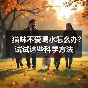 猫咪不爱喝水怎么办？试试这些科学方法（图3）