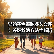 猫的子宫蓄脓多久会死？关键救治方法全解析（图2）