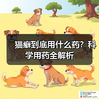 猫癣到底用什么药？科学用药全解析（图2）