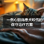 一例心脏病患犬咬伤的保守治疗方案（图3）