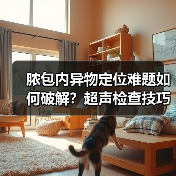 脓包内异物定位难题如何破解？超声检查技巧全解析（图4）