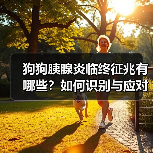 狗狗胰腺炎临终征兆有哪些？如何识别与应对？（图2）