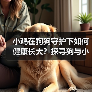 小鸡在狗狗守护下如何健康长大？探寻狗与小鸡的共生关系（图3）