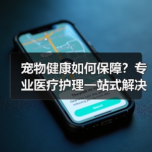 宠物健康如何保障？专业医疗护理一站式解决（图3）