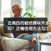 云南白药能给猫咪外涂吗？正确使用方法与注意事项详解