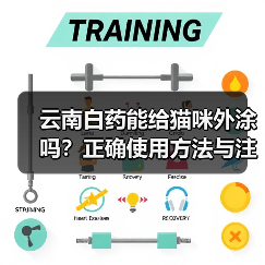 云南白药能给猫咪外涂吗？正确使用方法与注意事项详解（图2）