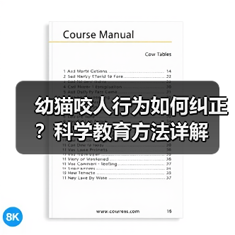 幼猫咬人行为如何纠正？科学教育方法详解（图2）