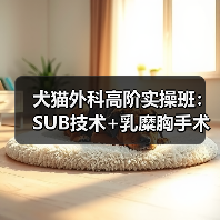 犬猫外科高阶实操班：SUB技术+乳糜胸手术，专家亲授！（图1）