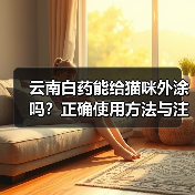 云南白药能给猫咪外涂吗？正确使用方法与注意事项详解（图3）