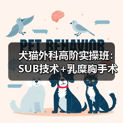 犬猫外科高阶实操班：SUB技术+乳糜胸手术，专家亲授！（图2）