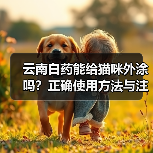云南白药能给猫咪外涂吗？正确使用方法与注意事项详解（图4）