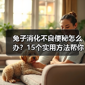 兔子消化不良便秘怎么办？15个实用方法帮你改善（图3）