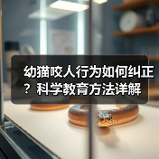 幼猫咬人行为如何纠正？科学教育方法详解（图4）