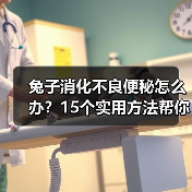 兔子消化不良便秘怎么办？15个实用方法帮你改善（图4）