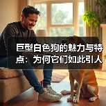 巨型白色狗的魅力与特点：为何它们如此引人注目？（图3）