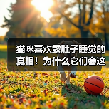 猫咪喜欢露肚子睡觉的真相！为什么它们会这样做？（图3）