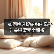 如何挑选捉蛇狗内鼻子？关键要素全解析（图2）