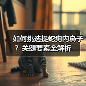 如何挑选捉蛇狗内鼻子？关键要素全解析（图3）