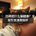 比熊吃什么最健康？全面饮食清单解析（图2）