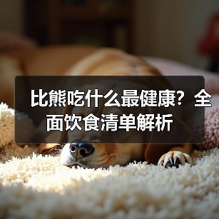 比熊吃什么最健康？全面饮食清单解析（图3）
