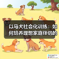 以马犬社会化训练：如何培养理想家庭伴侣的关键技巧（图2）