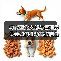 功能型党支部与管理委员会如何推动高校聘任制教职工高效治理？（图3）