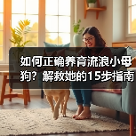 如何正确养育流浪小母狗？解救她的15步指南