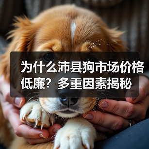 为什么沛县狗市场价格低廉？多重因素揭秘（图2）