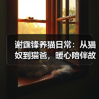 谢霆锋养猫日常：从猫奴到猫爸，暖心陪伴故事