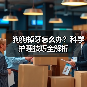 狗狗掉牙怎么办？科学护理技巧全解析（图3）
