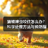猫被蜱虫咬住怎么办？科学处理方法与预防指南（图4）