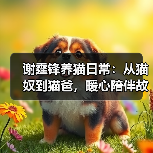 谢霆锋养猫日常：从猫奴到猫爸，暖心陪伴故事（图3）