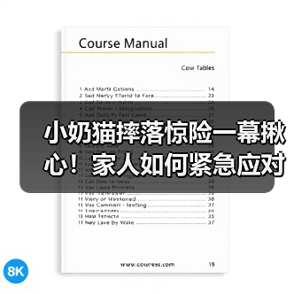小奶猫摔落惊险一幕揪心！家人如何紧急应对？（图3）
