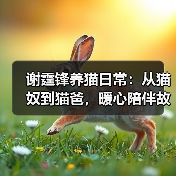 谢霆锋养猫日常：从猫奴到猫爸，暖心陪伴故事（图4）