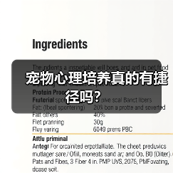 宠物心理培养真的有捷径吗？（图2）