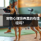 宠物心理培养真的有捷径吗？（图3）