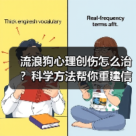 流浪狗心理创伤怎么治？科学方法帮你重建信任（图3）