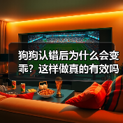 狗狗认错后为什么会变乖？这样做真的有效吗？（图1）